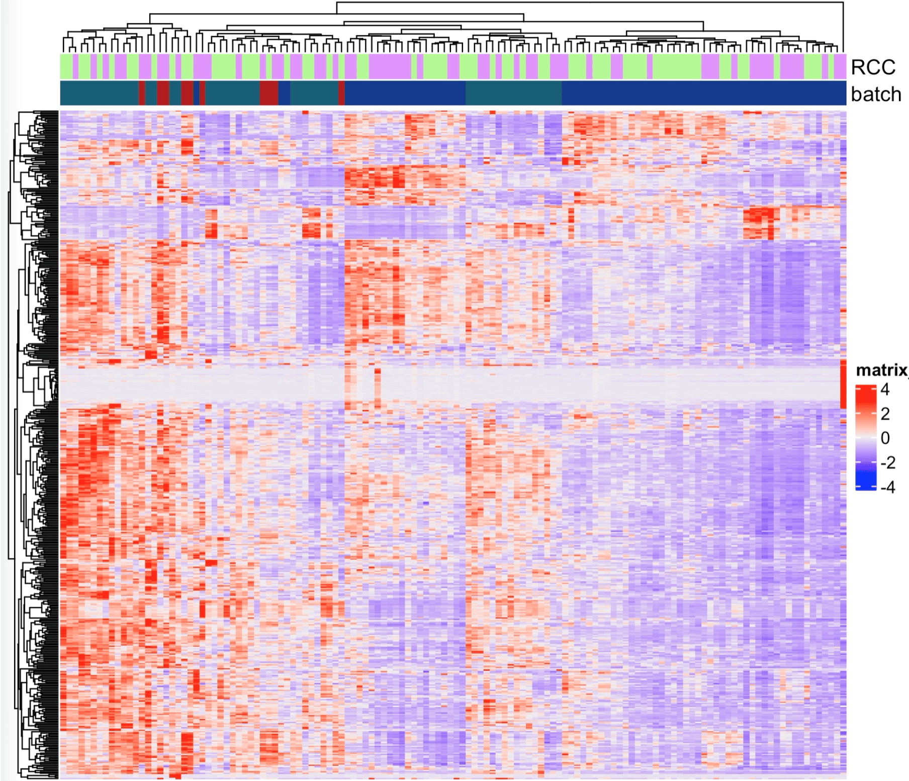 Deep histopathological analysis.